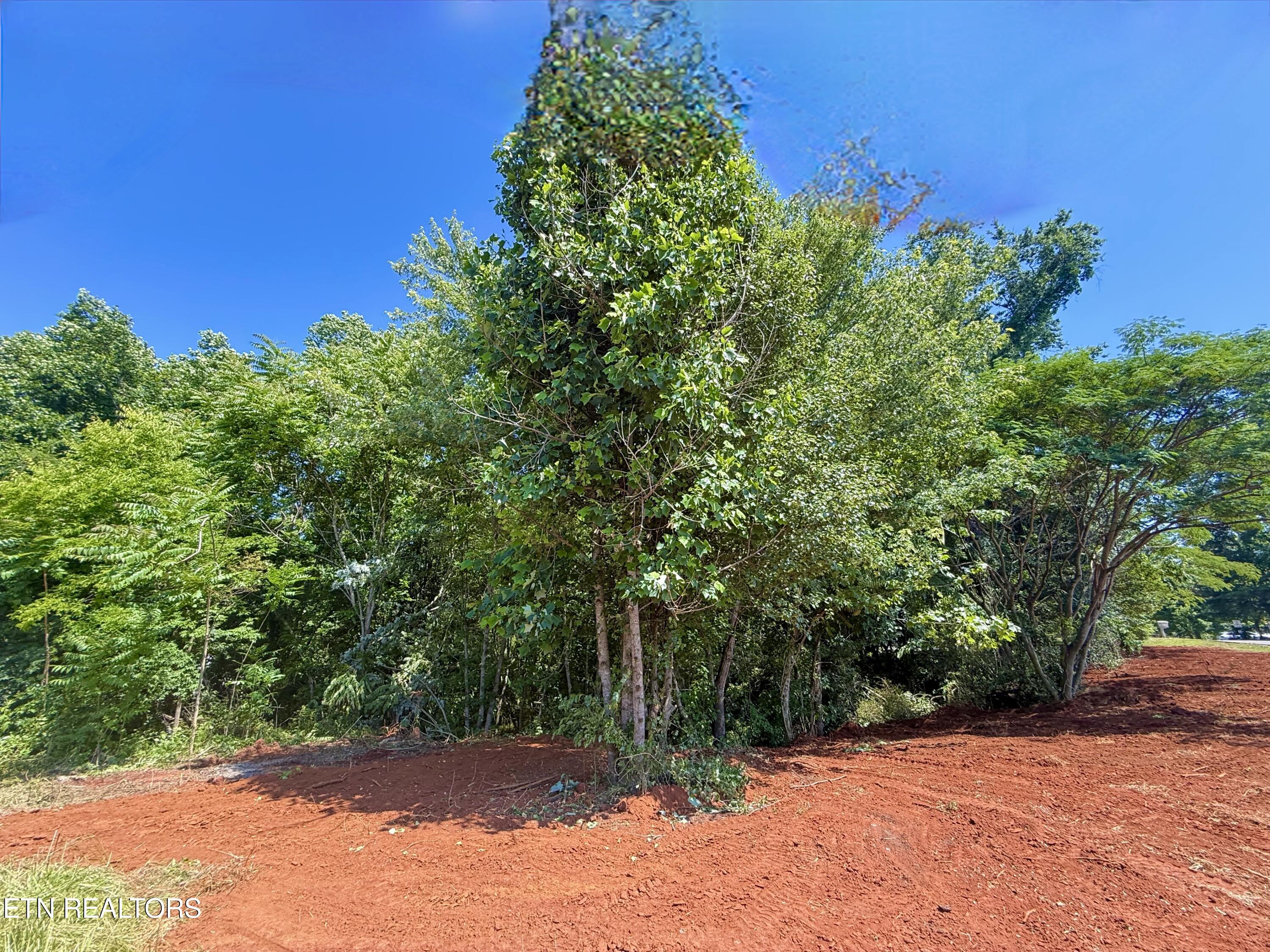 305 Oakwood Estates Drive Lenoir City TN 37772