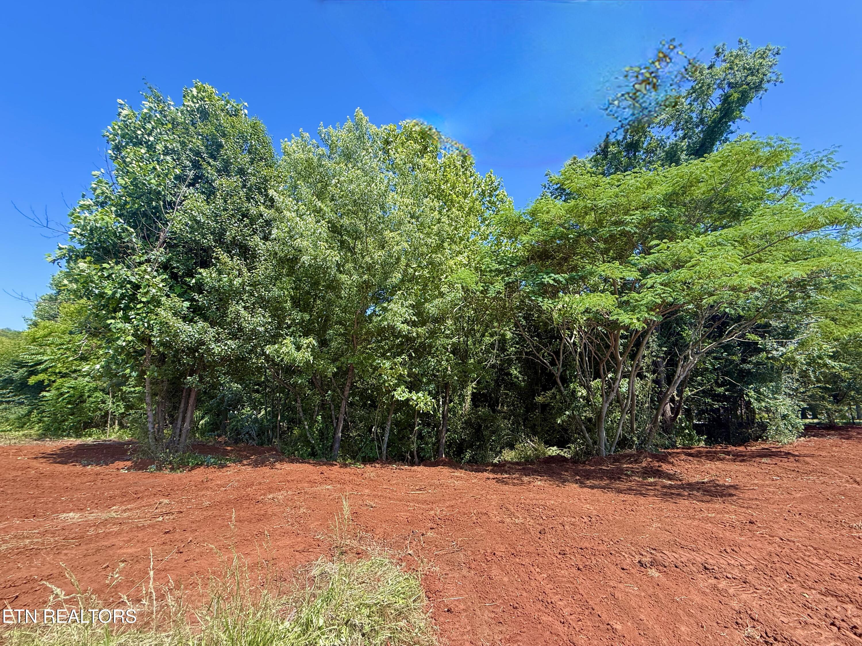 305 Oakwood Estates Drive Lenoir City TN 37772