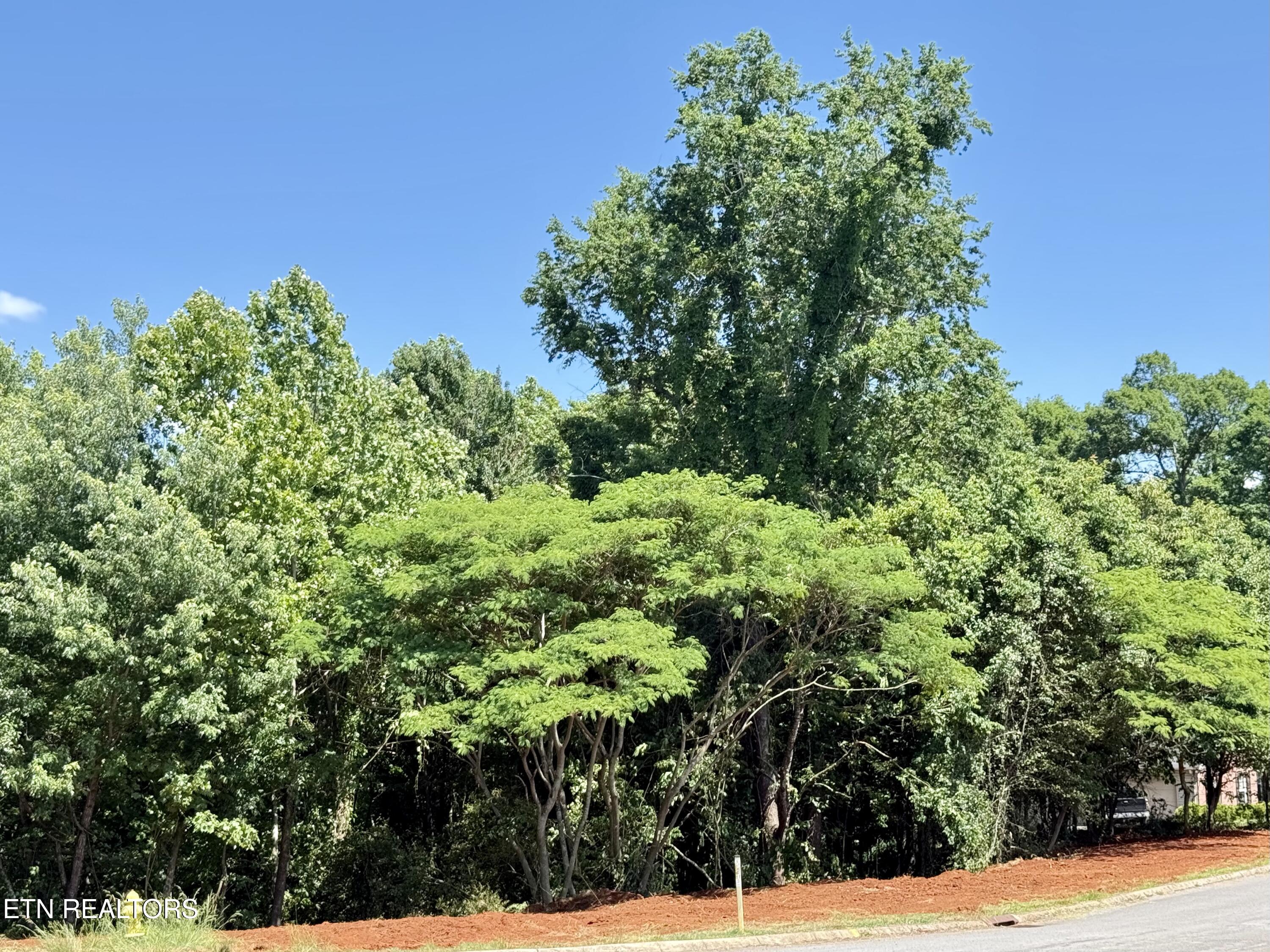 305 Oakwood Estates Drive Lenoir City TN 37772