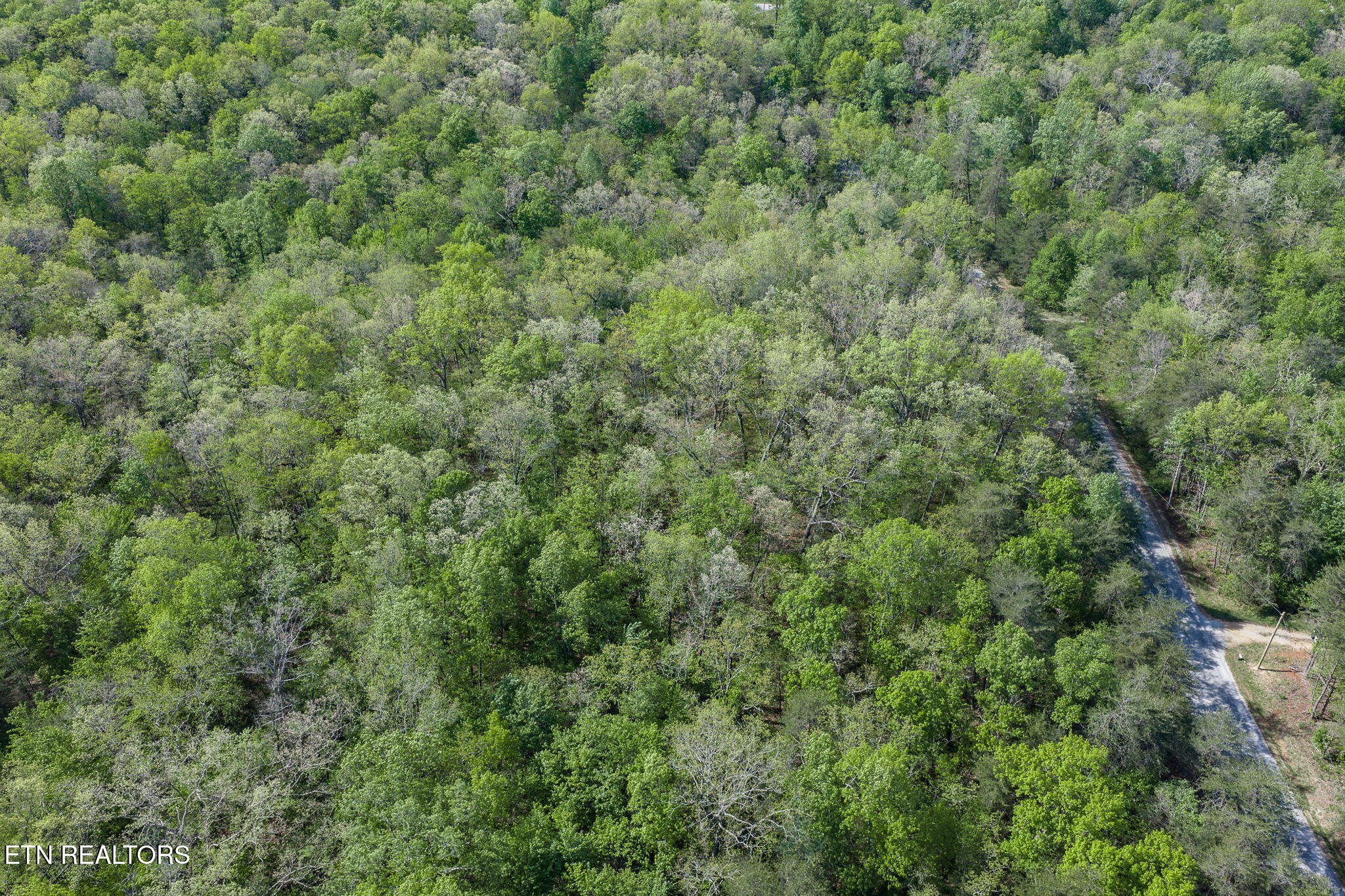 111 Bainbridge Court Crossville TN 38558