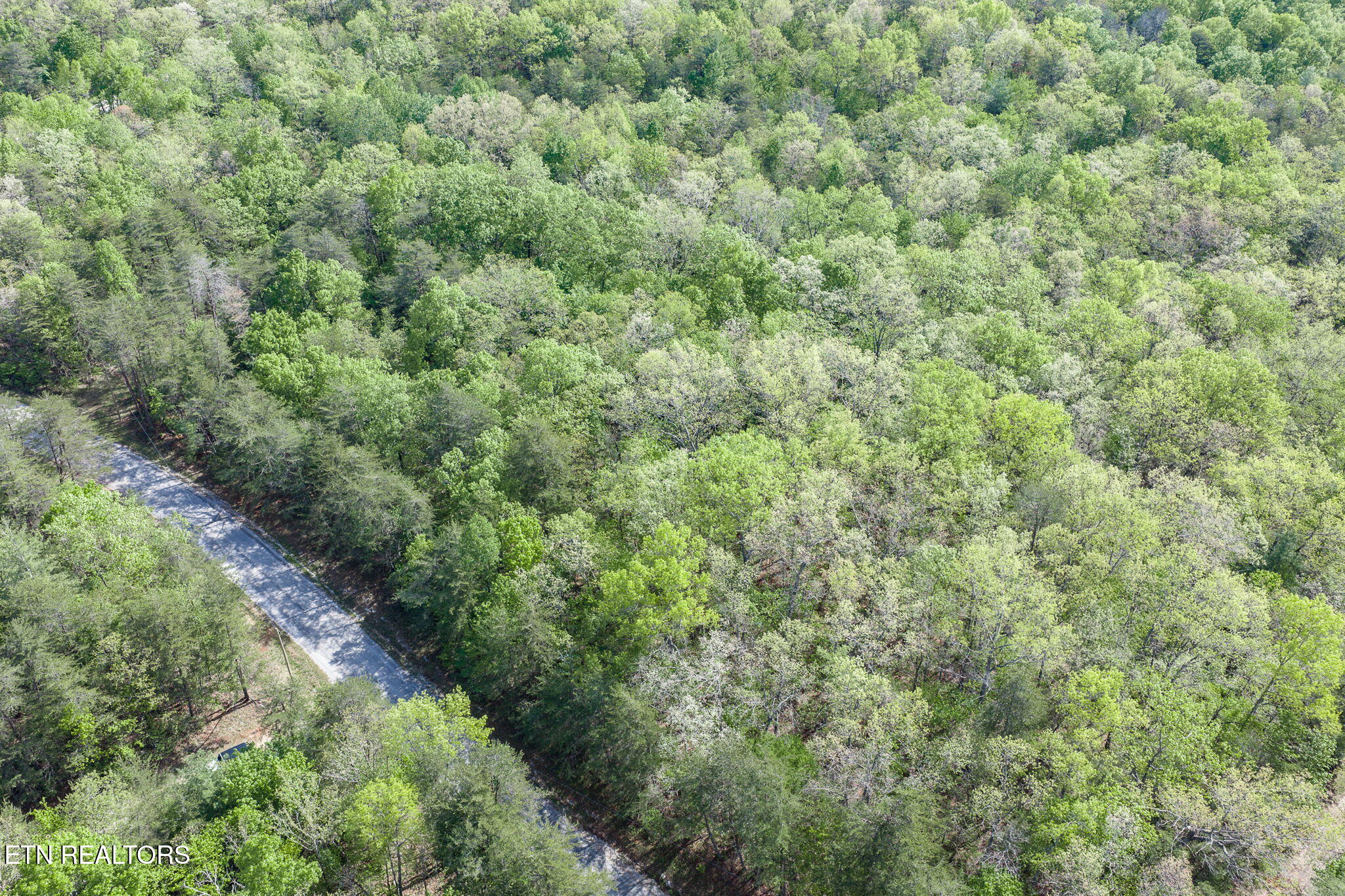 111 Bainbridge Court Crossville TN 38558
