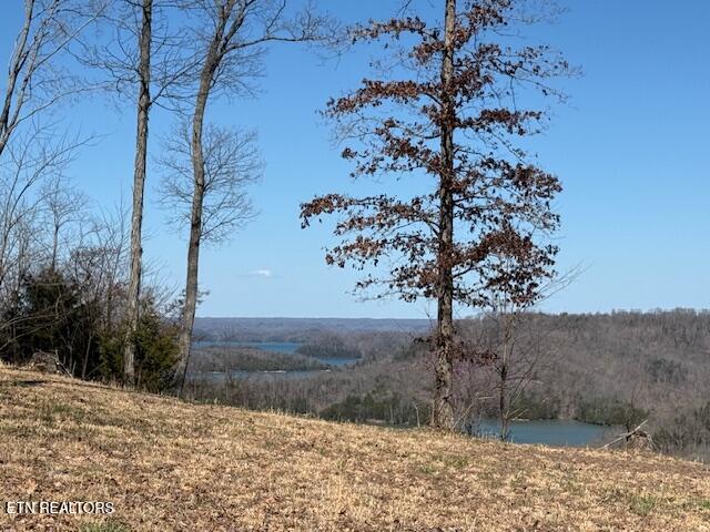 N Rock Fish Road Hilham TN 38568