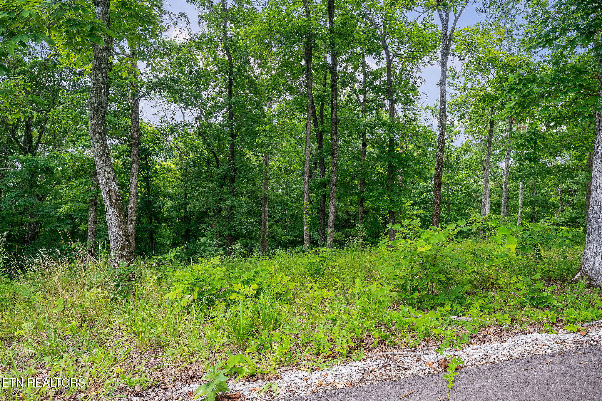 N Rock Fish Road Hilham TN 38568