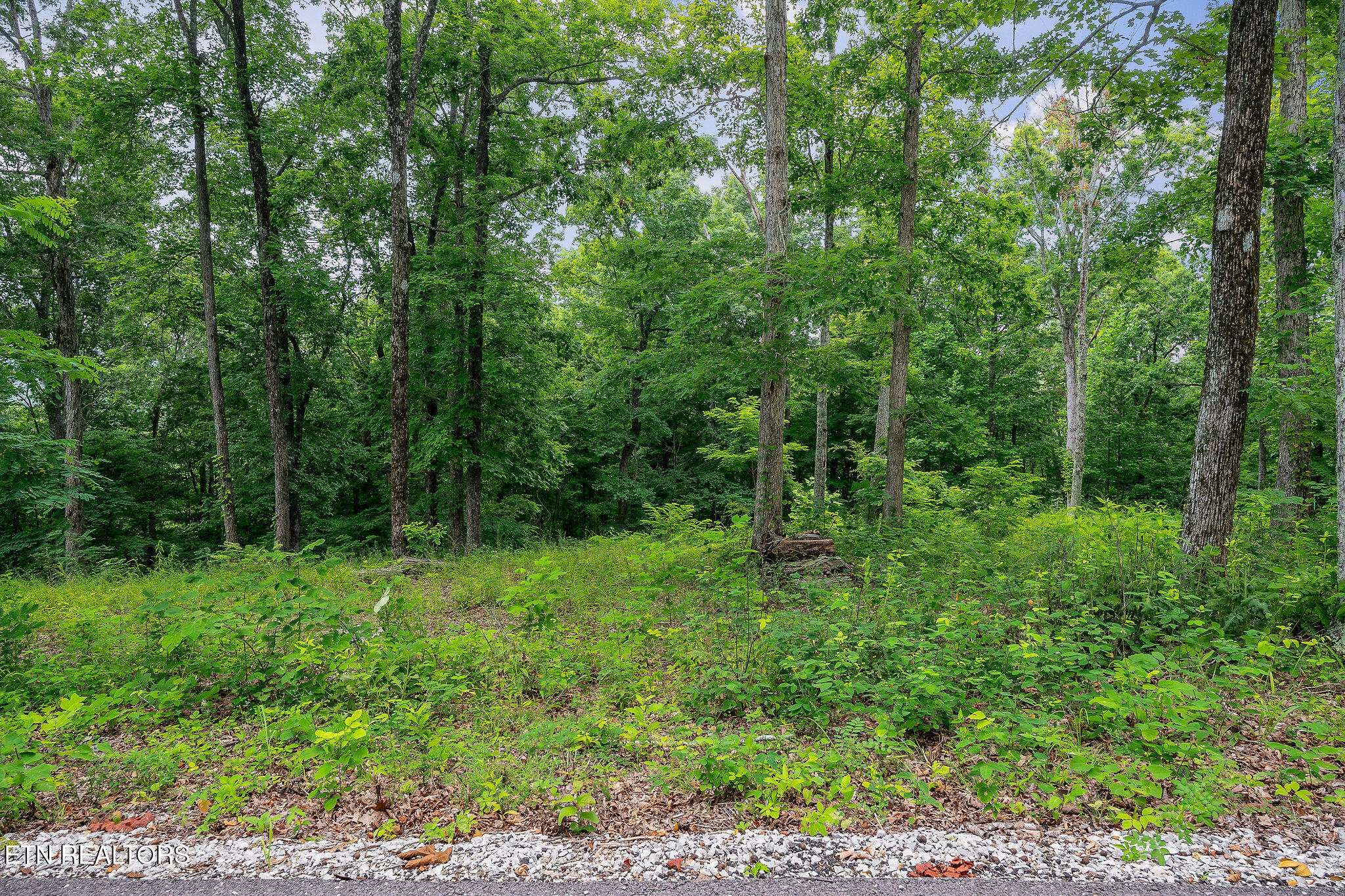 N Rock Fish Road Hilham TN 38568