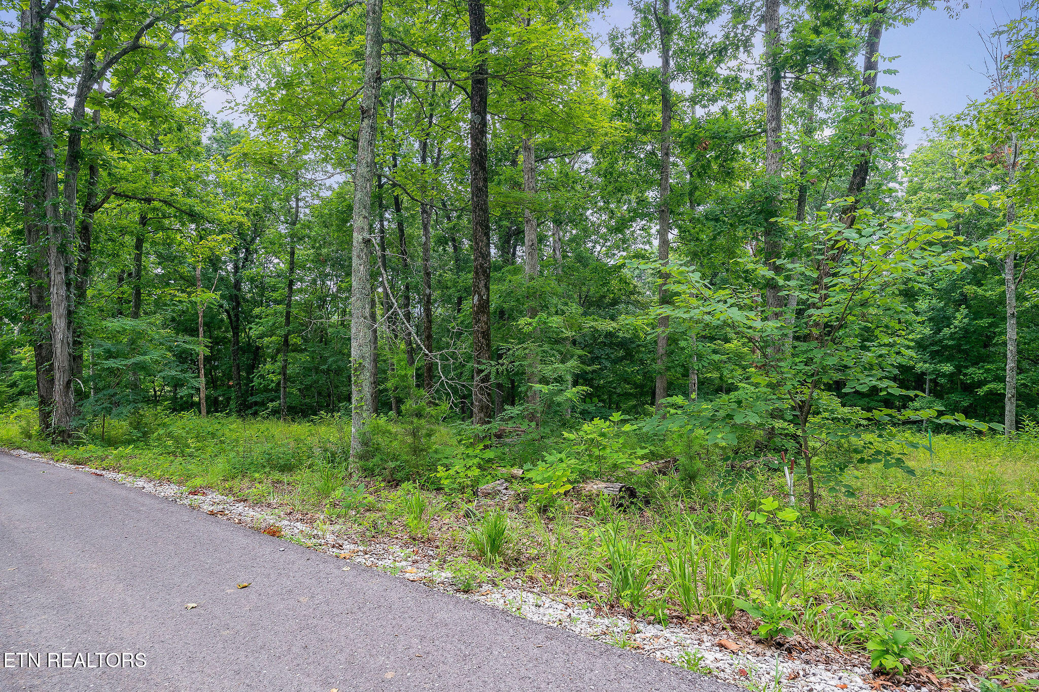N Rock Fish Road Hilham TN 38568