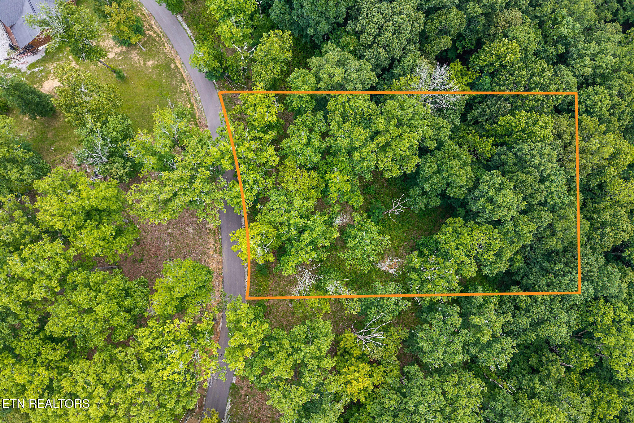 N Rock Fish Road Hilham TN 38568