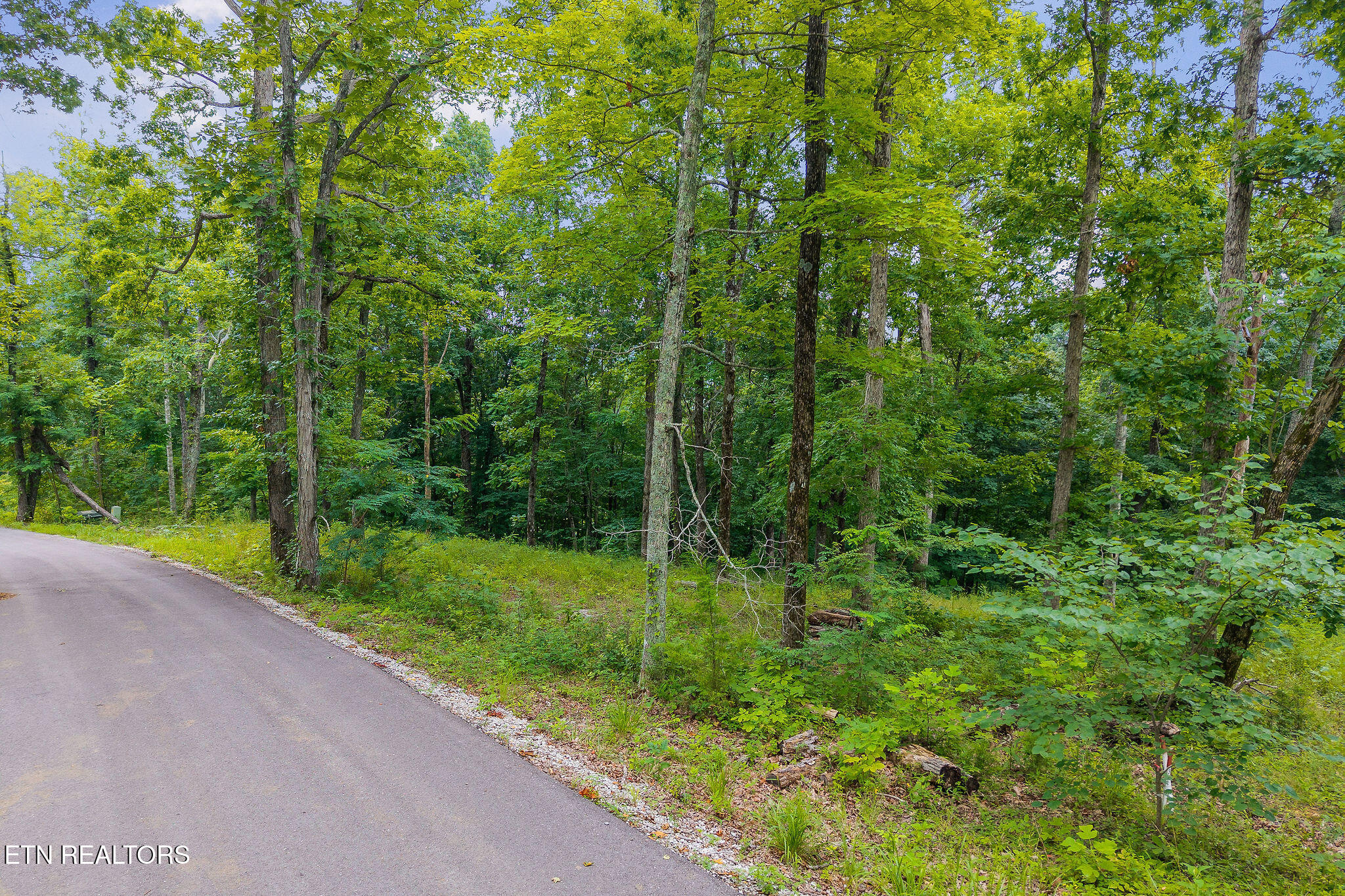 N Rock Fish Road Hilham TN 38568