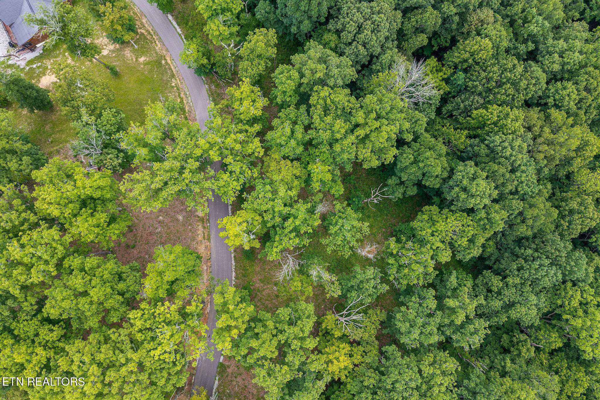 N Rock Fish Road Hilham TN 38568