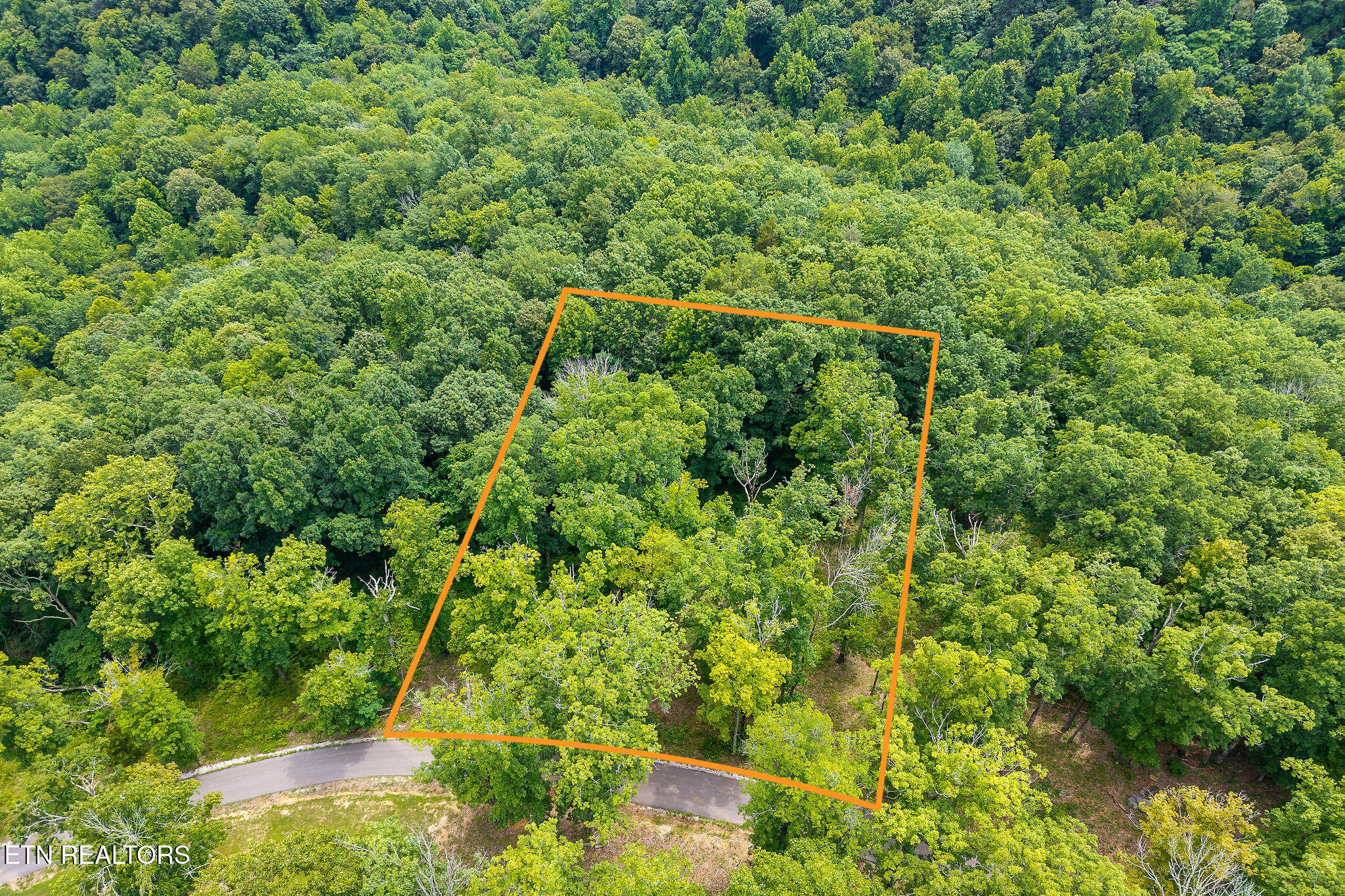 N Rock Fish Road Hilham TN 38568