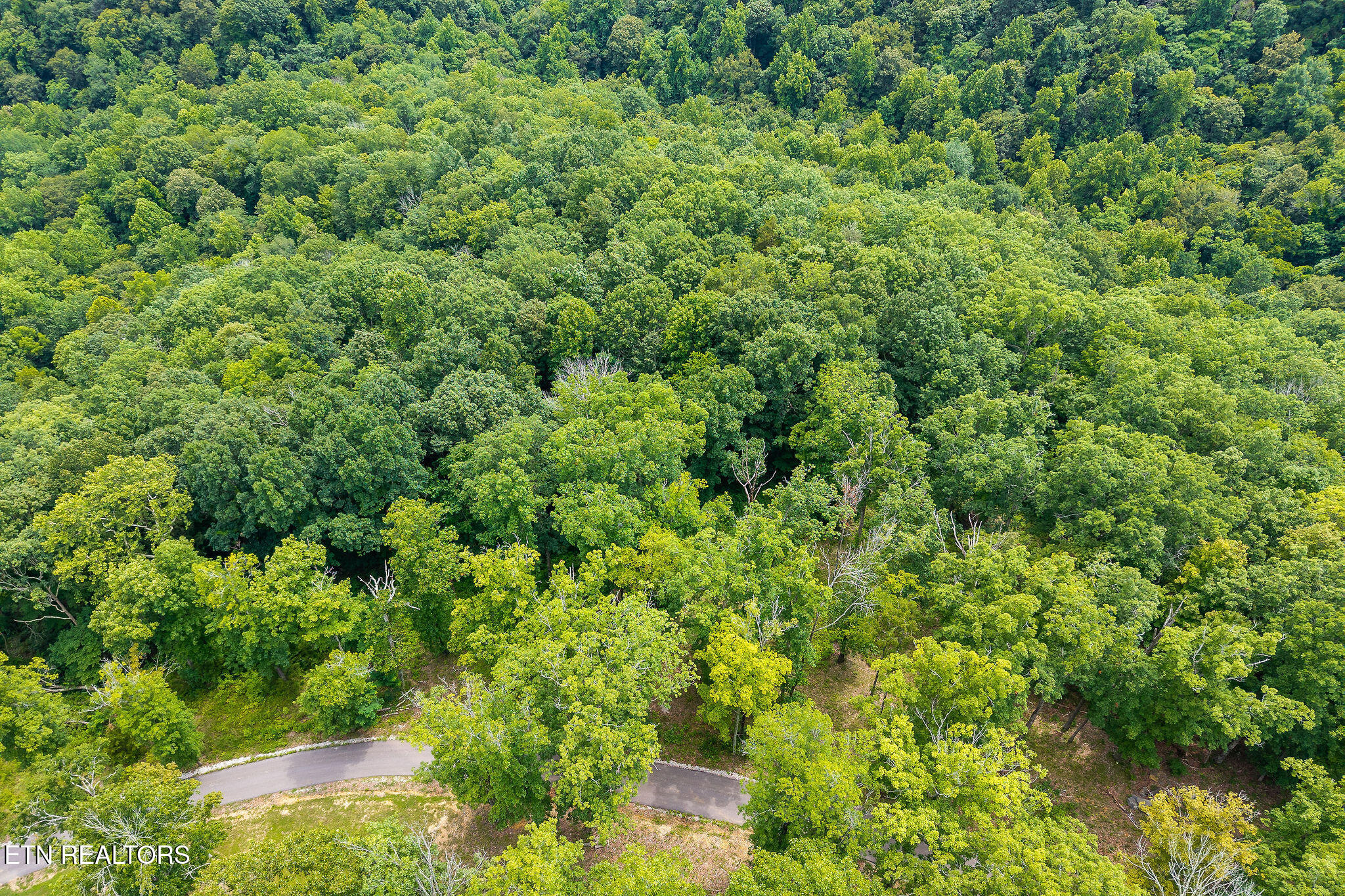 N Rock Fish Road Hilham TN 38568