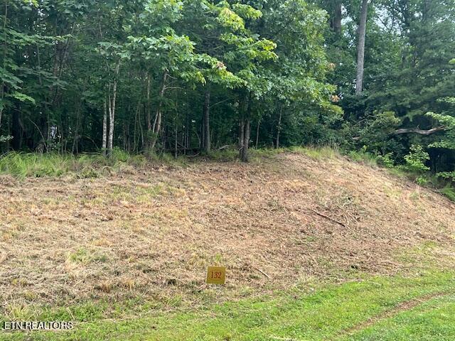 600 Lake Ridge Drive Rockwood TN 37854