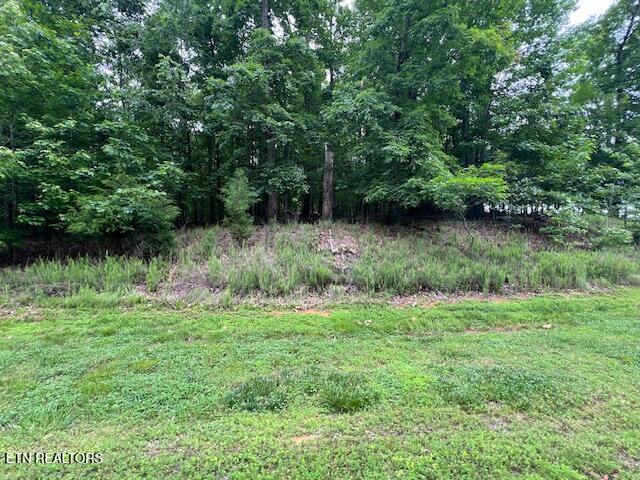 600 Lake Ridge Drive Rockwood TN 37854