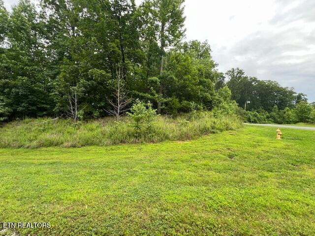 600 Lake Ridge Drive Rockwood TN 37854