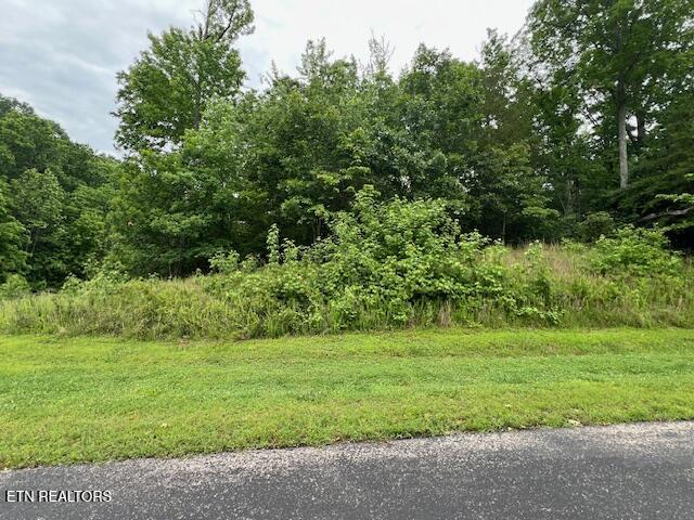 600 Lake Ridge Drive Rockwood TN 37854