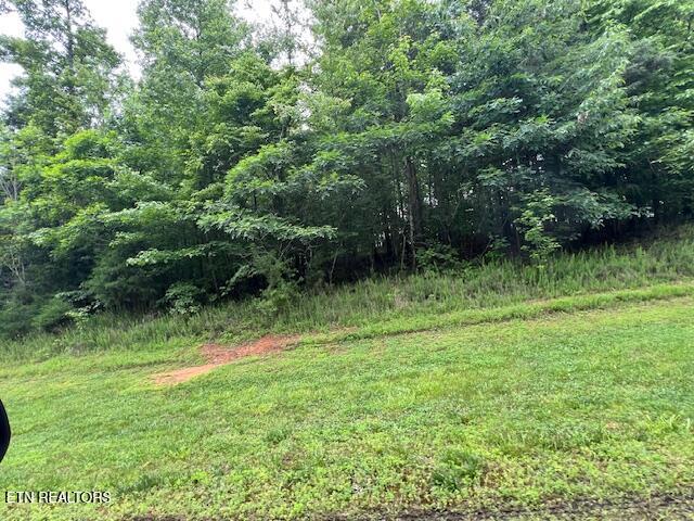 600 Lake Ridge Drive Rockwood TN 37854