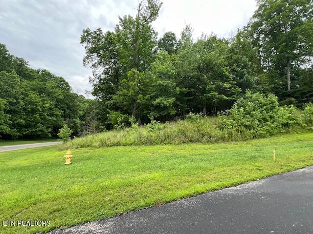 600 Lake Ridge Drive Rockwood TN 37854