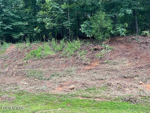 600 Lake Ridge Drive Rockwood TN 37854