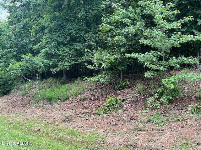 600 Lake Ridge Drive Rockwood TN 37854