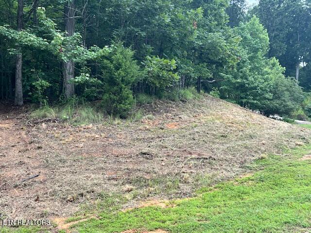 600 Lake Ridge Drive Rockwood TN 37854