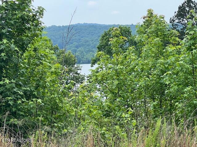 600 Lake Ridge Drive Rockwood TN 37854