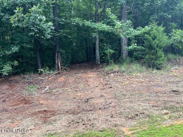 600 Lake Ridge Drive Rockwood TN 37854