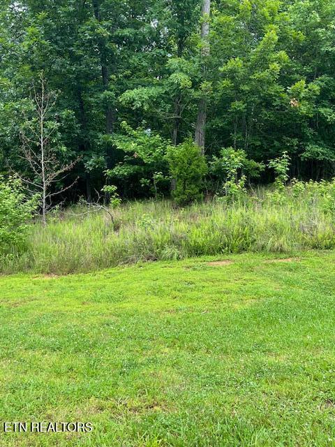 600 Lake Ridge Drive Rockwood TN 37854