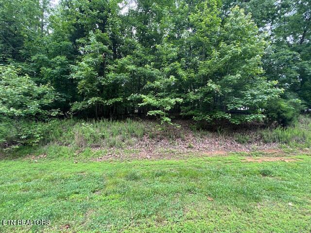 600 Lake Ridge Drive Rockwood TN 37854