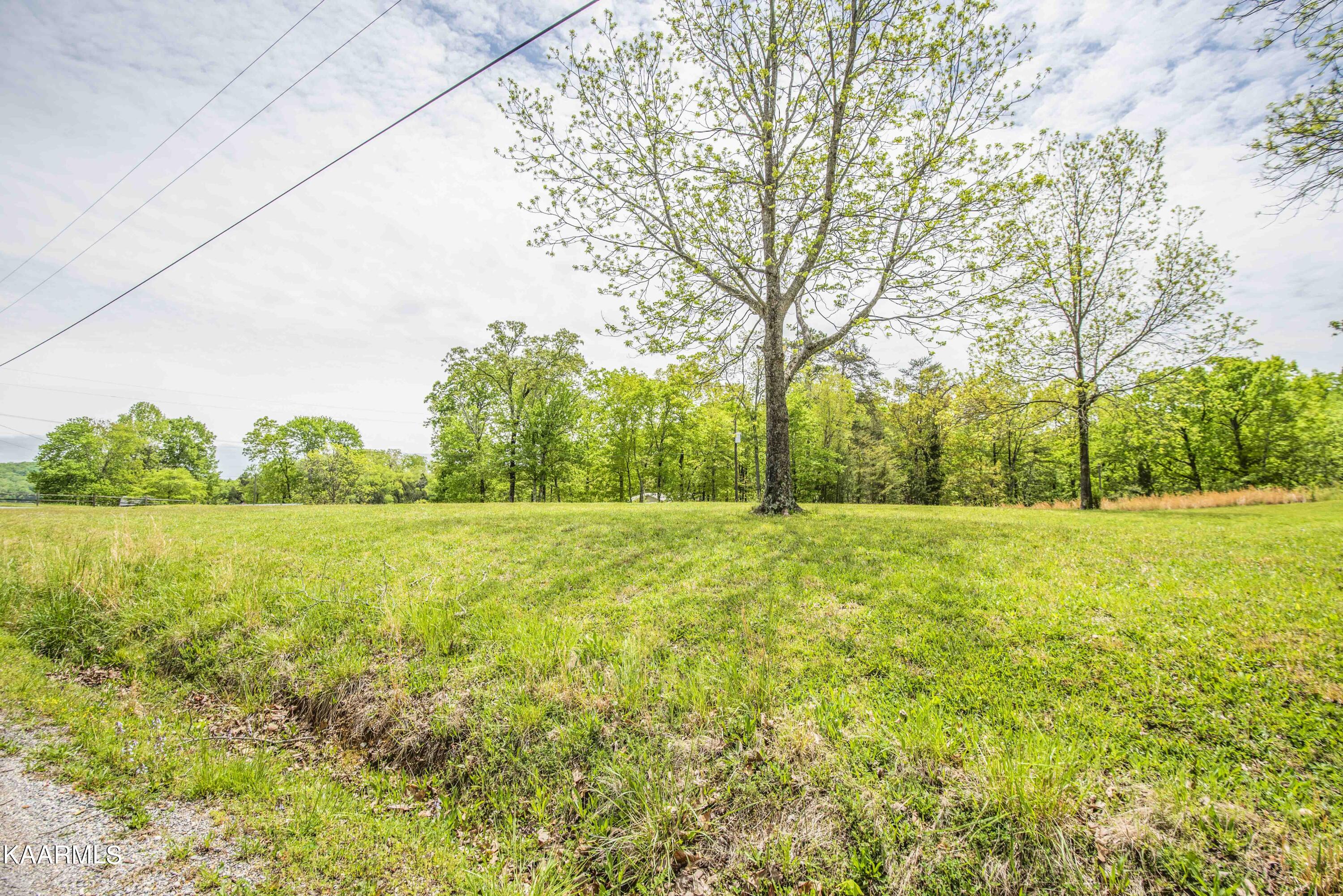 Lot 238 Hickory Drive Spring City TN 37381