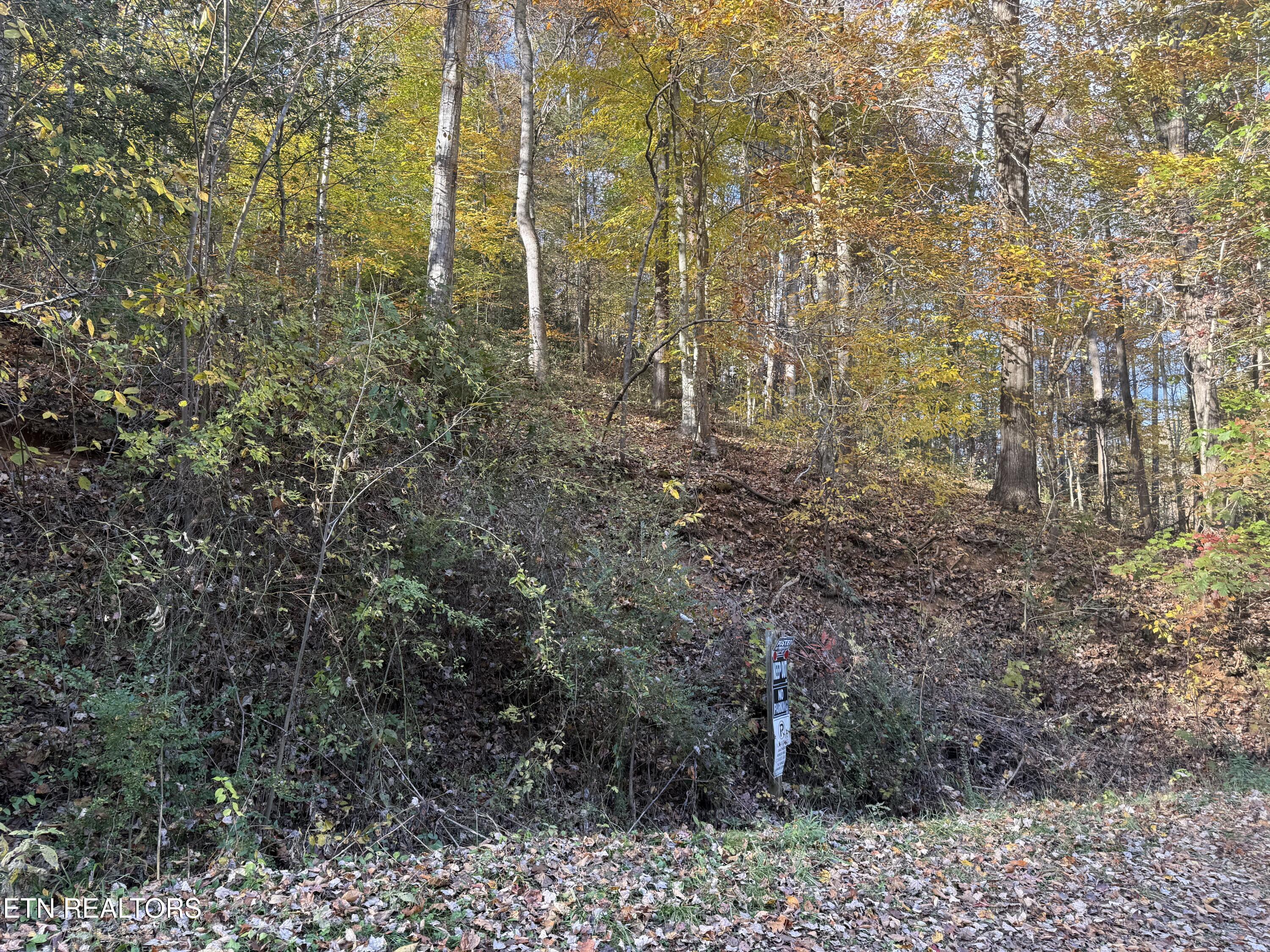 Trentham Way Pigeon Forge TN 37863