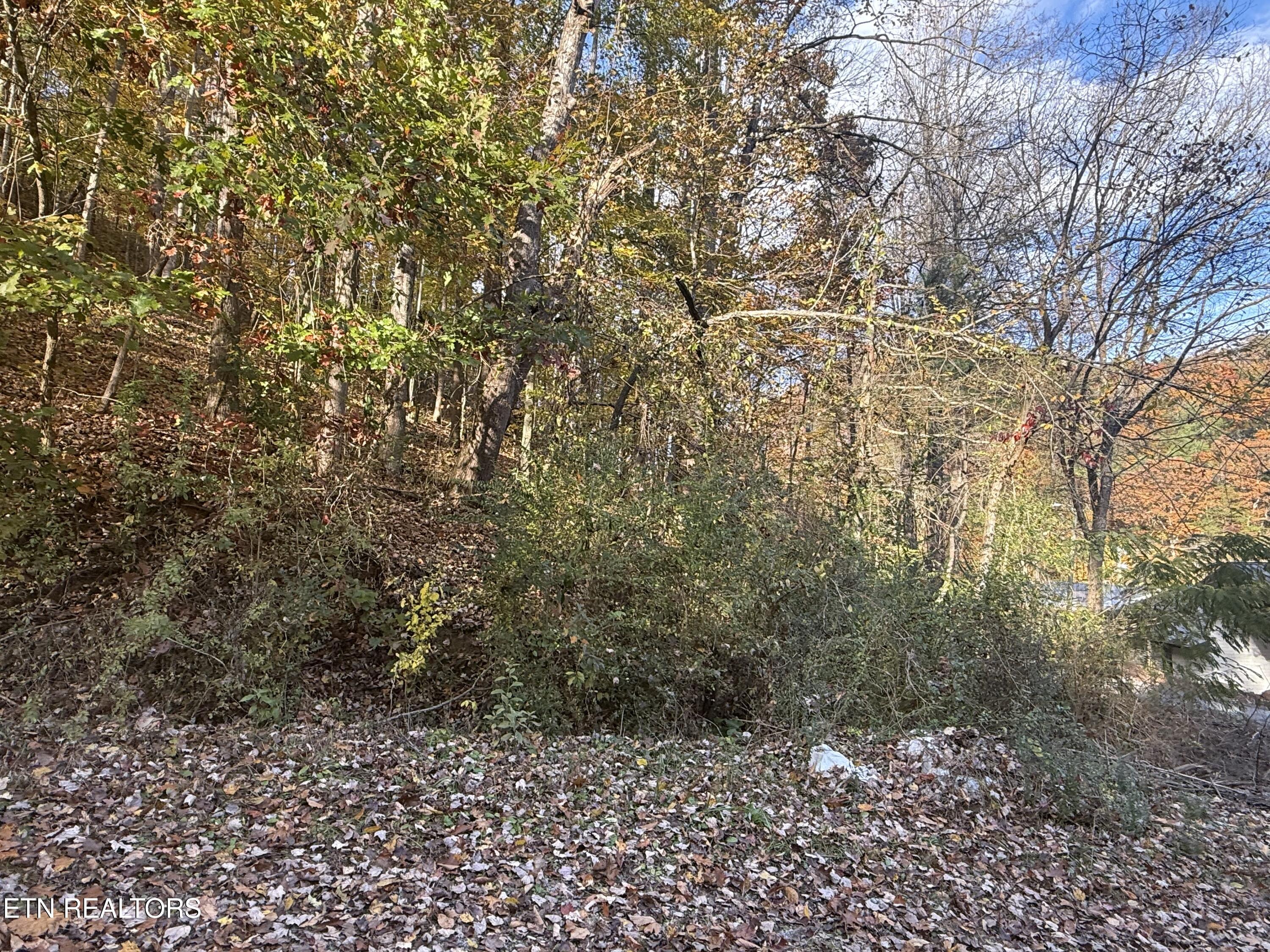 Trentham Way Pigeon Forge TN 37863