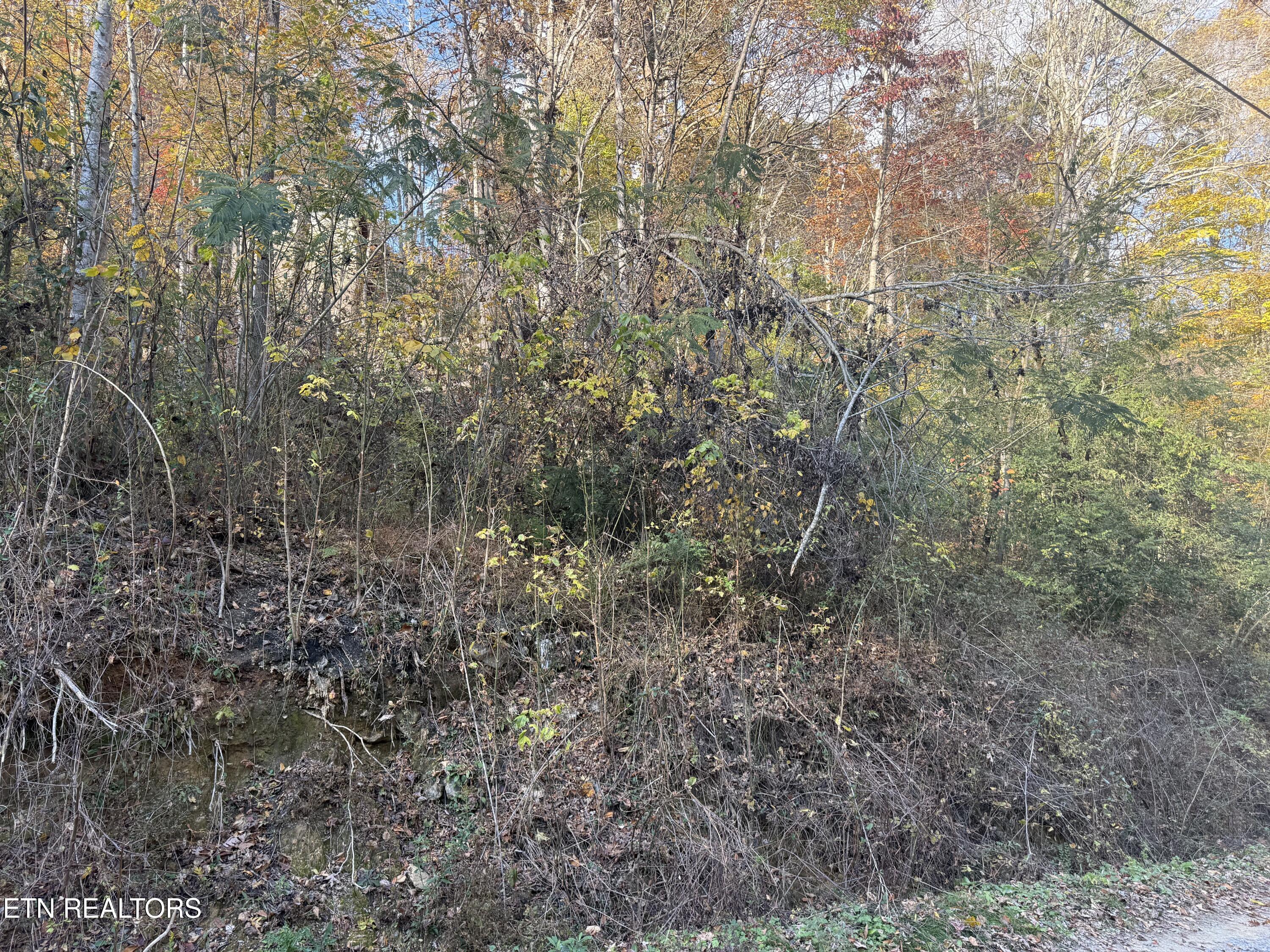 Trentham Way Pigeon Forge TN 37863