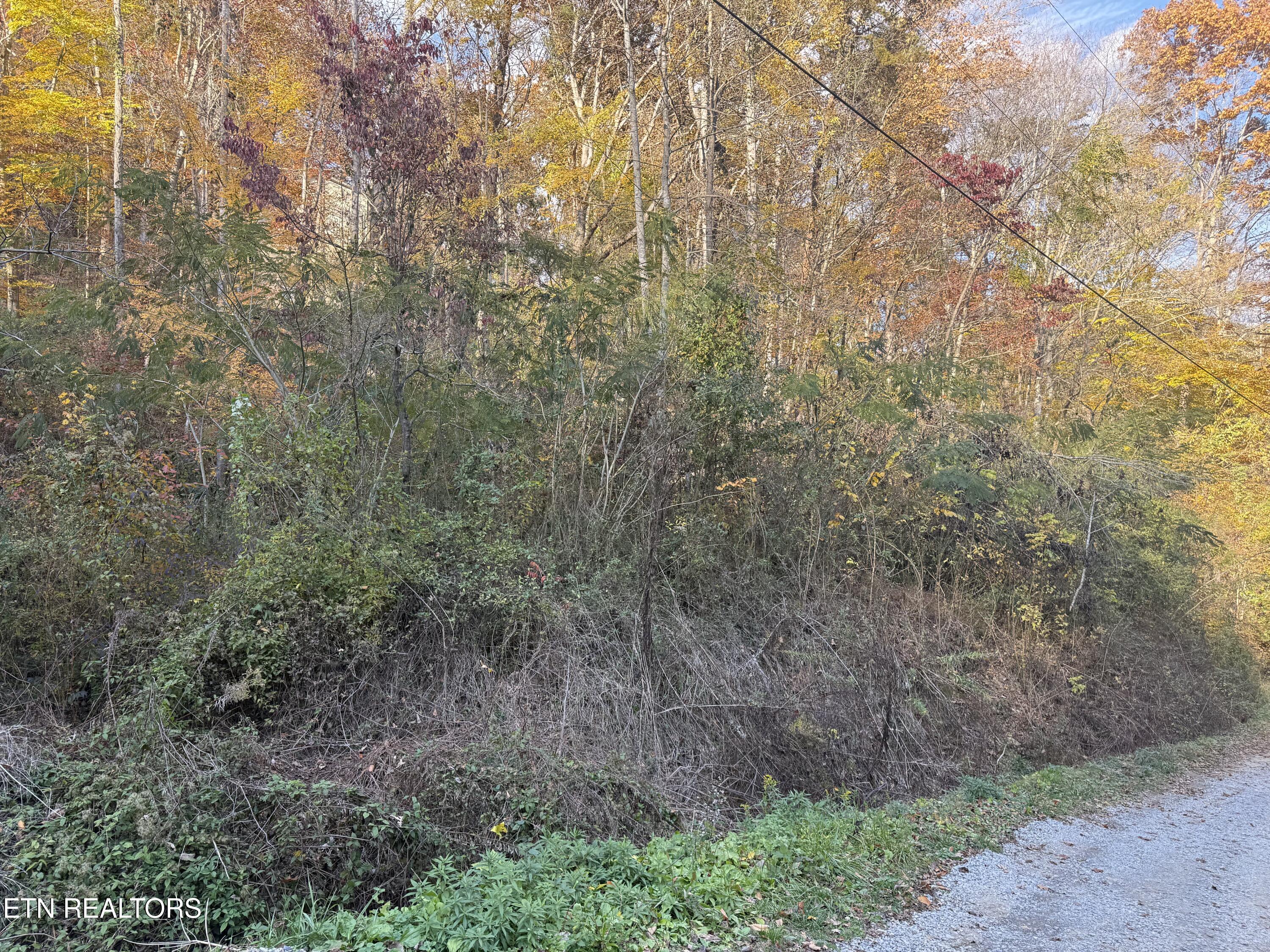 Trentham Way Pigeon Forge TN 37863