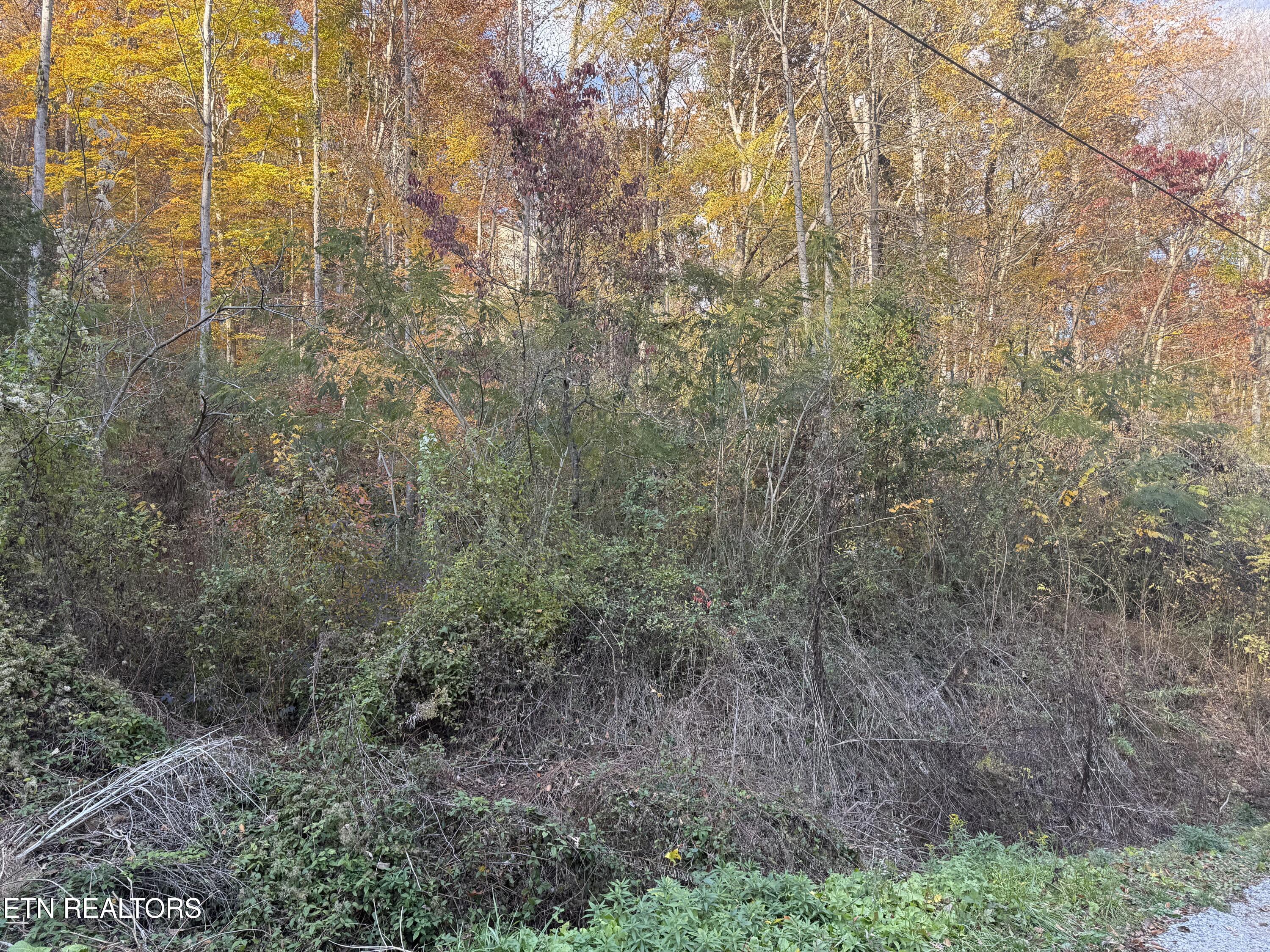 Trentham Way Pigeon Forge TN 37863