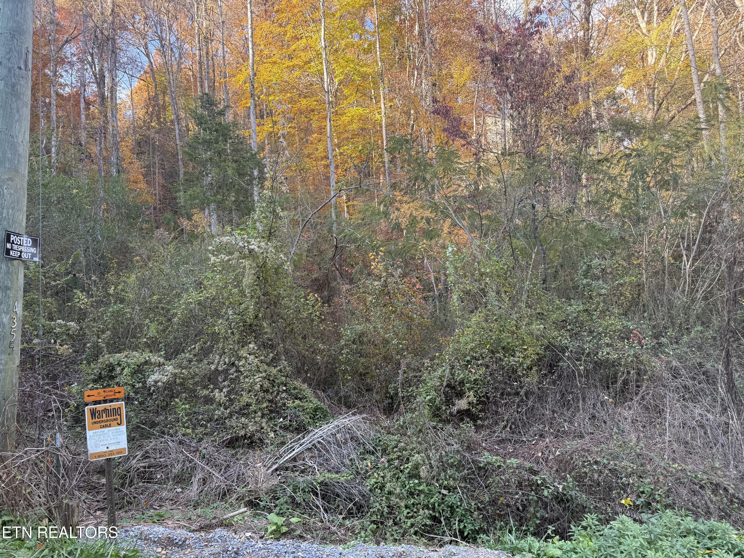 Trentham Way Pigeon Forge TN 37863