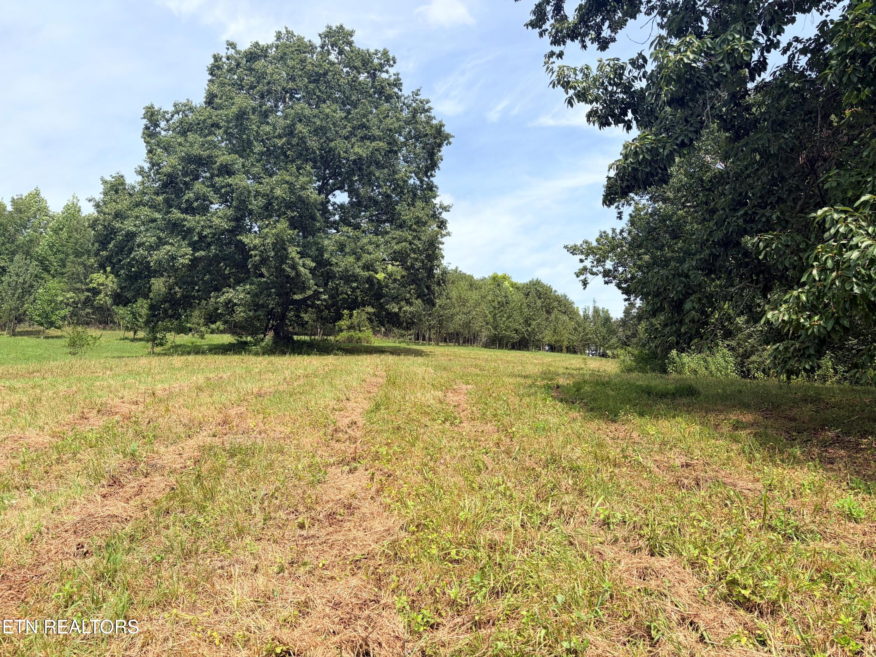 3632 Mountain Vista Road Knoxville TN 37931