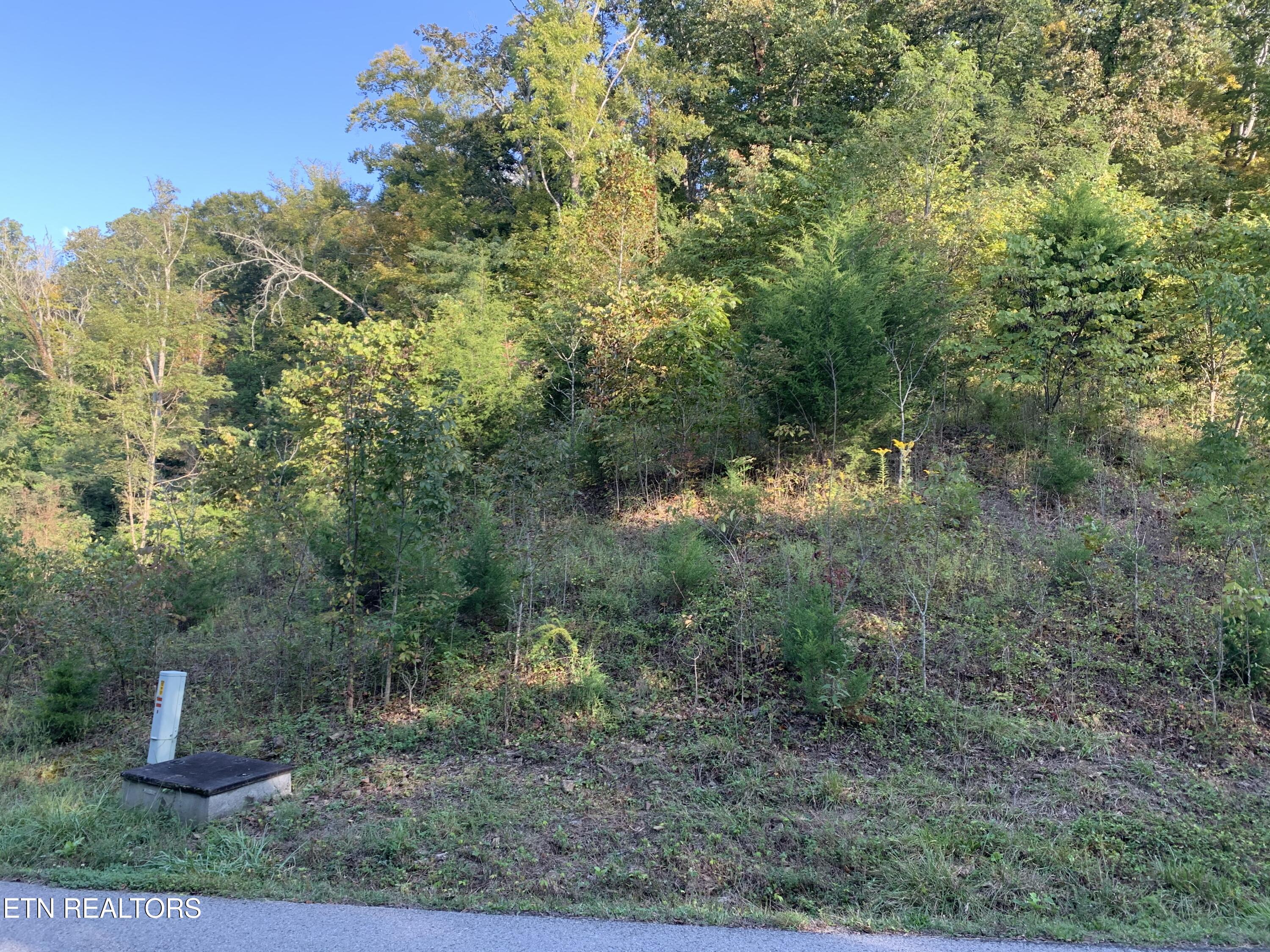 0 Russell Brothers Road Sharps Chapel TN 37866