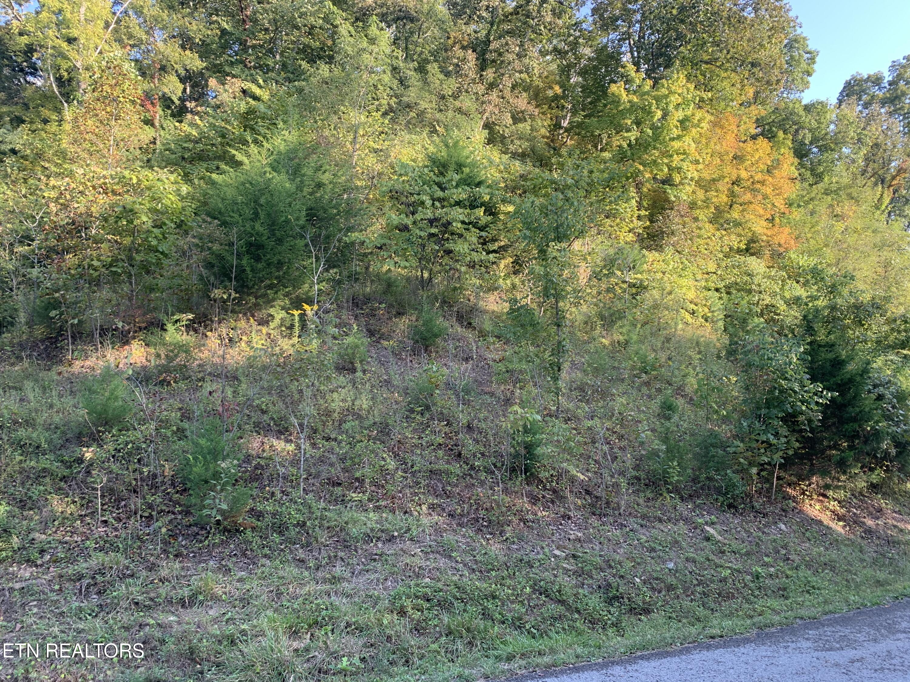0 Russell Brothers Road Sharps Chapel TN 37866