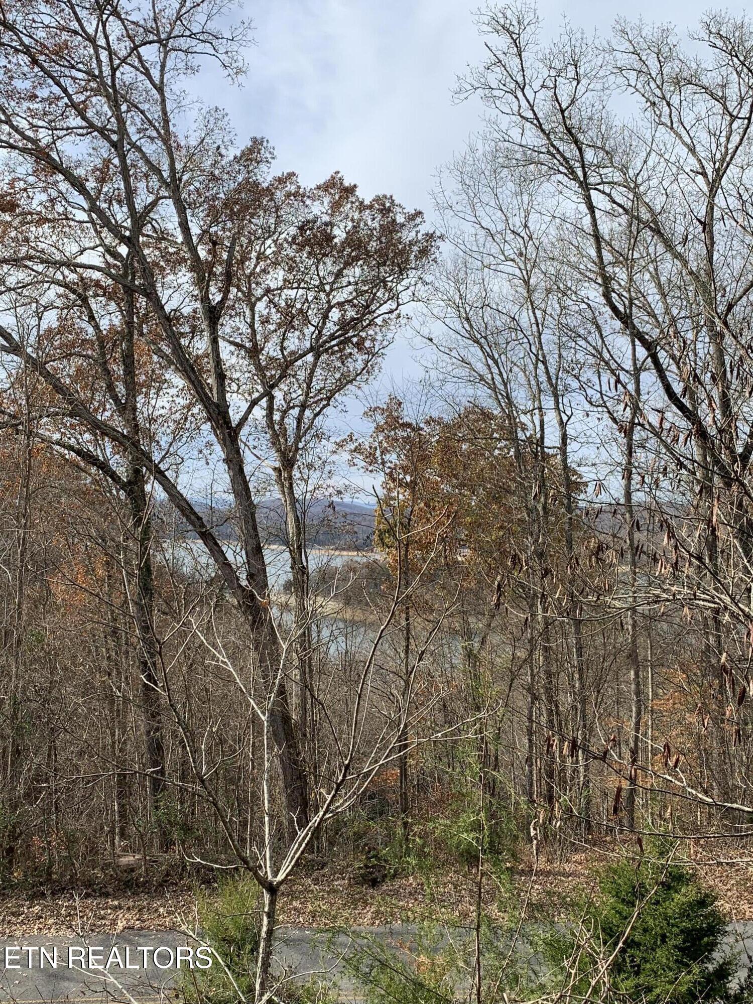 0 Russell Brothers Road Sharps Chapel TN 37866