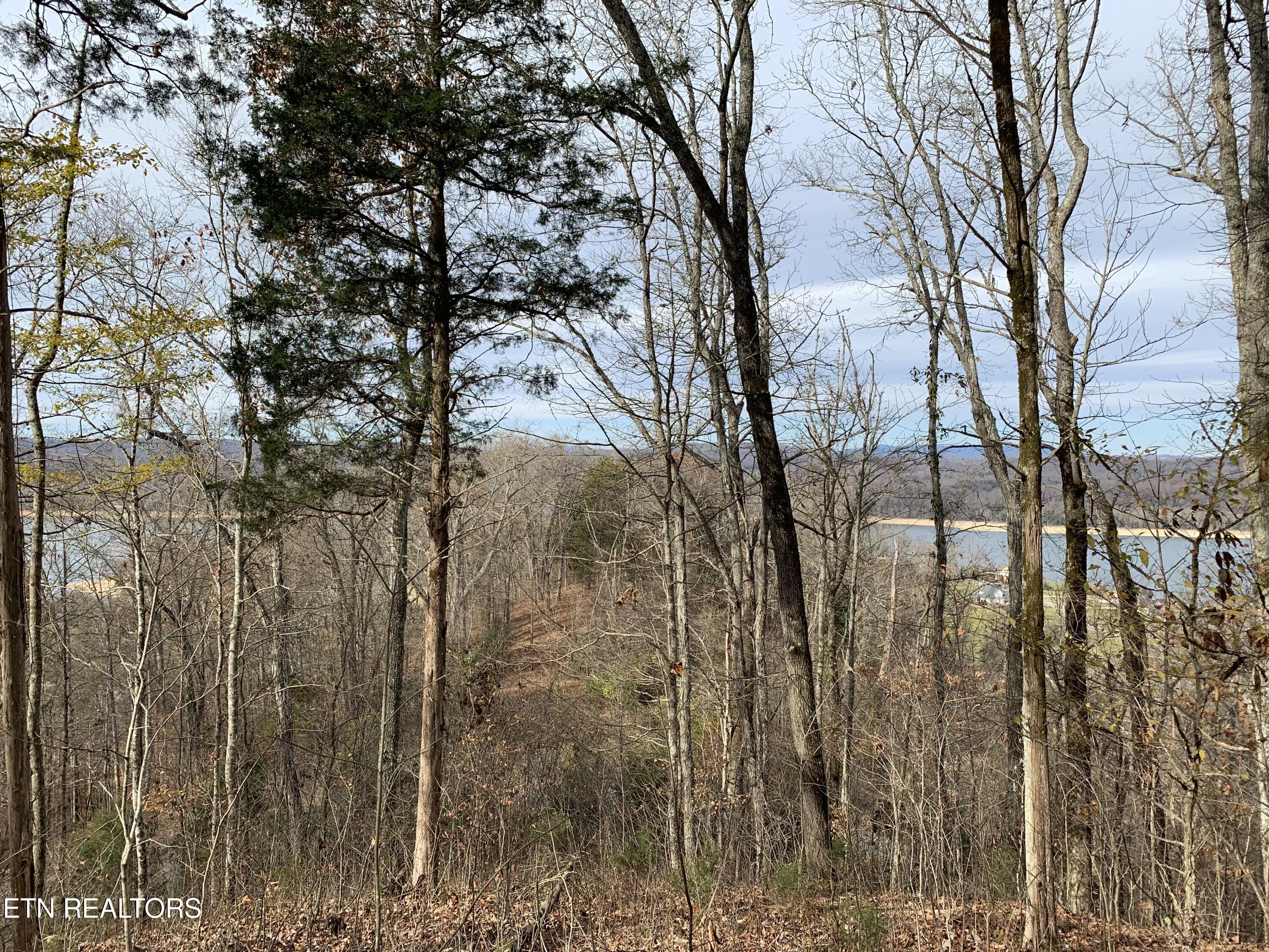 0 Russell Brothers Road Sharps Chapel TN 37866