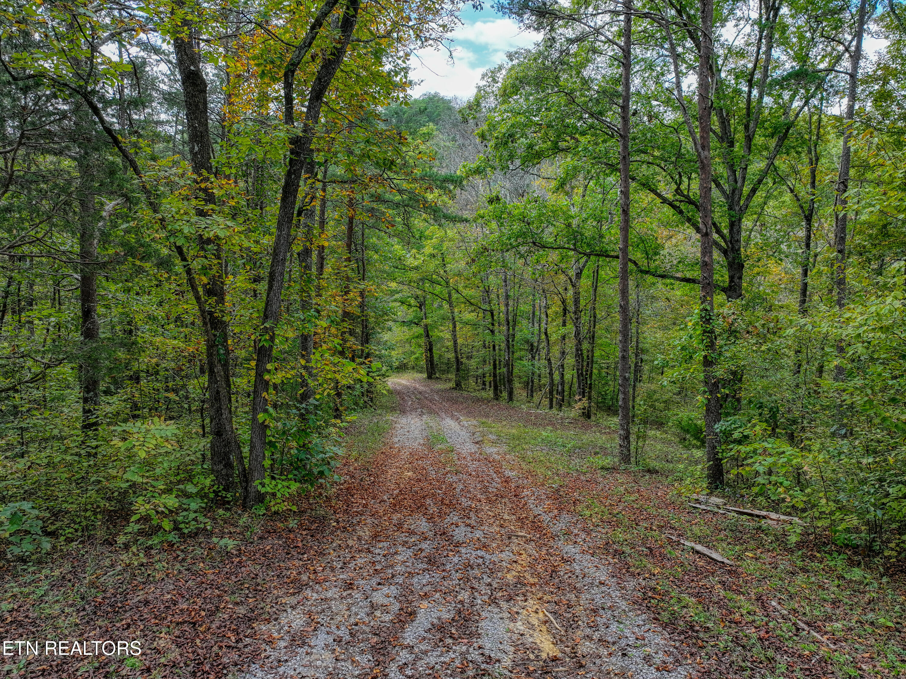 2521 Audley Moore Road Sevierville TN 37876