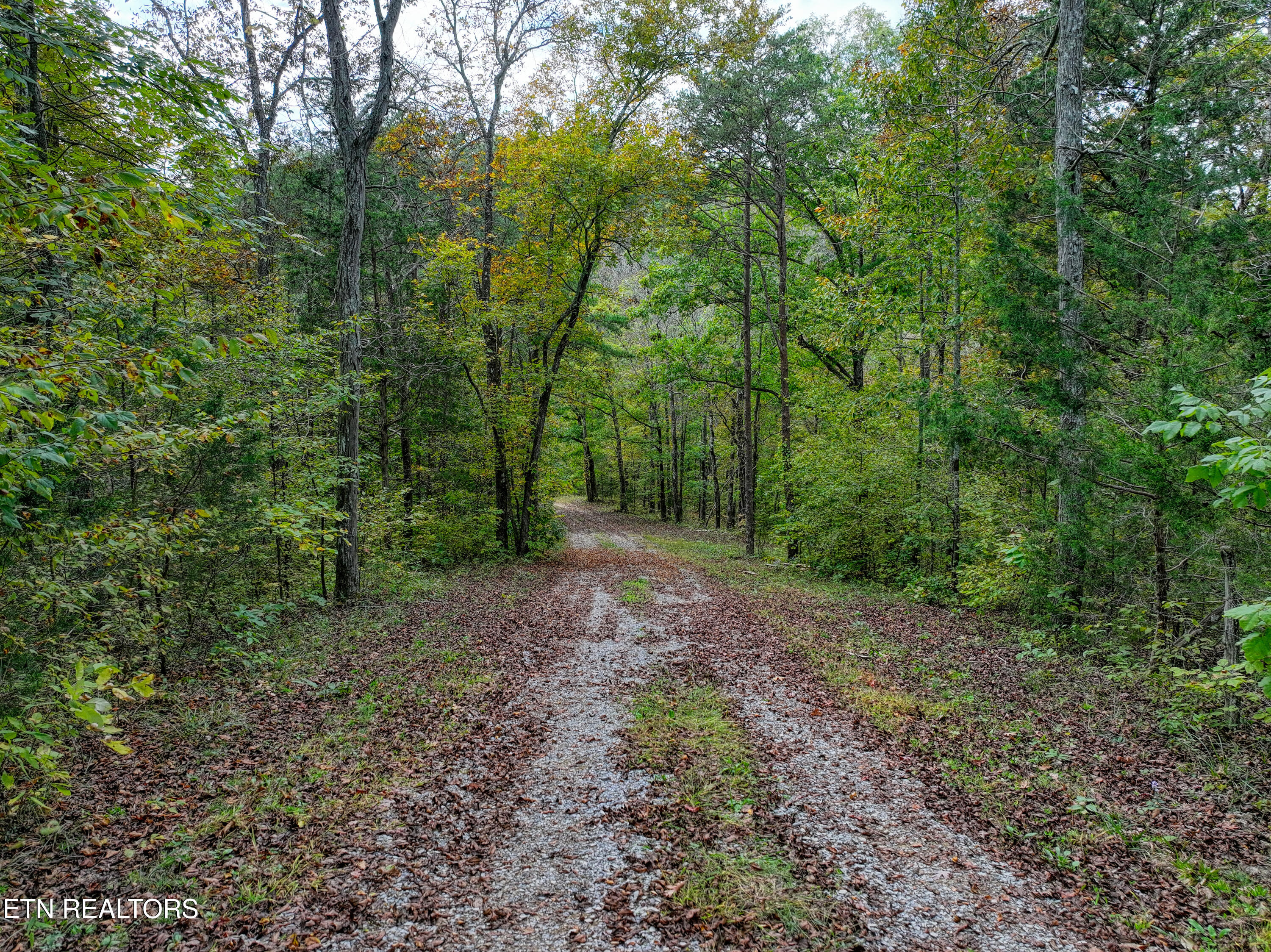2521 Audley Moore Road Sevierville TN 37876