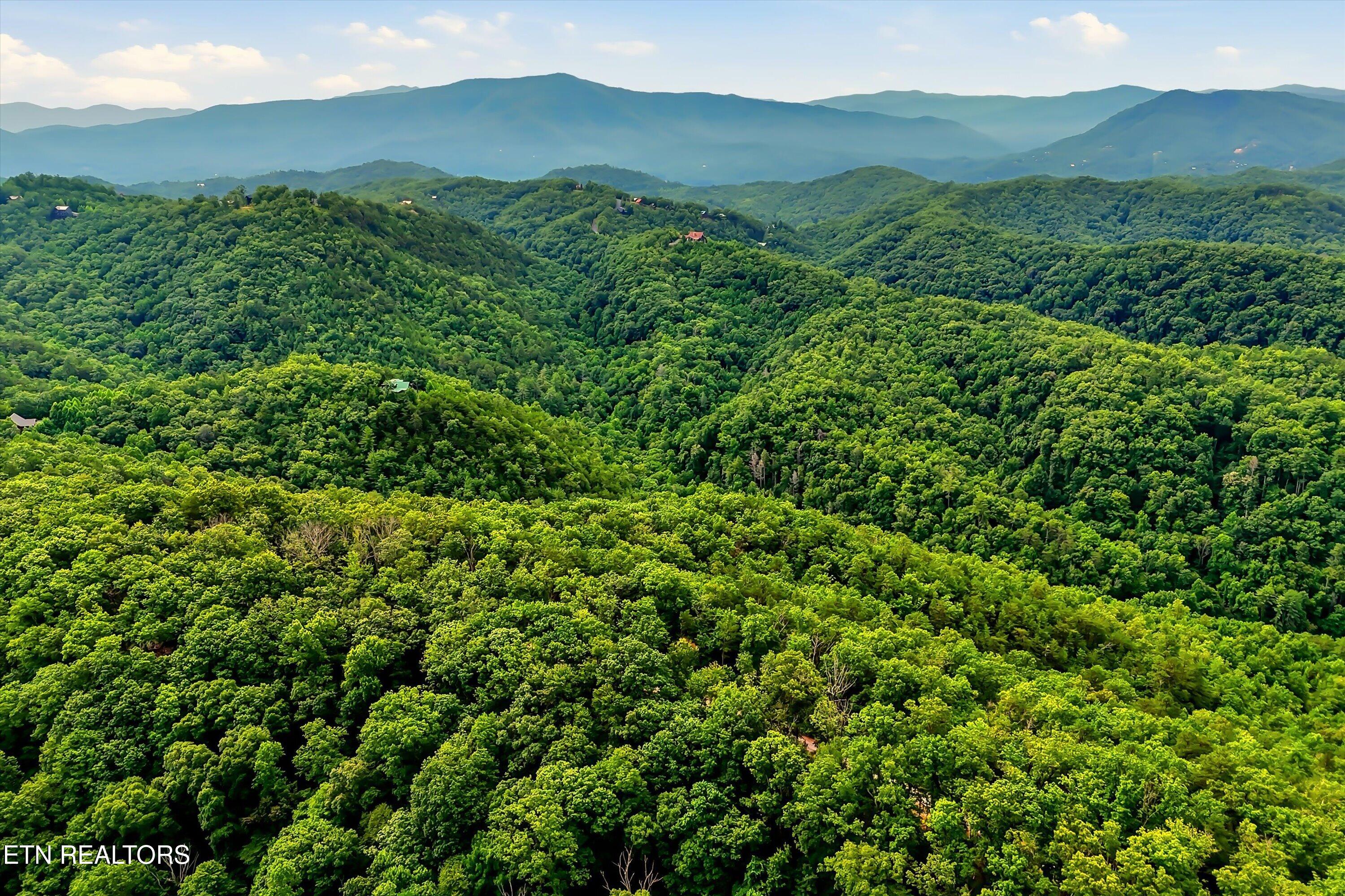 Lot 71e Redtail Road Sevierville TN 37862