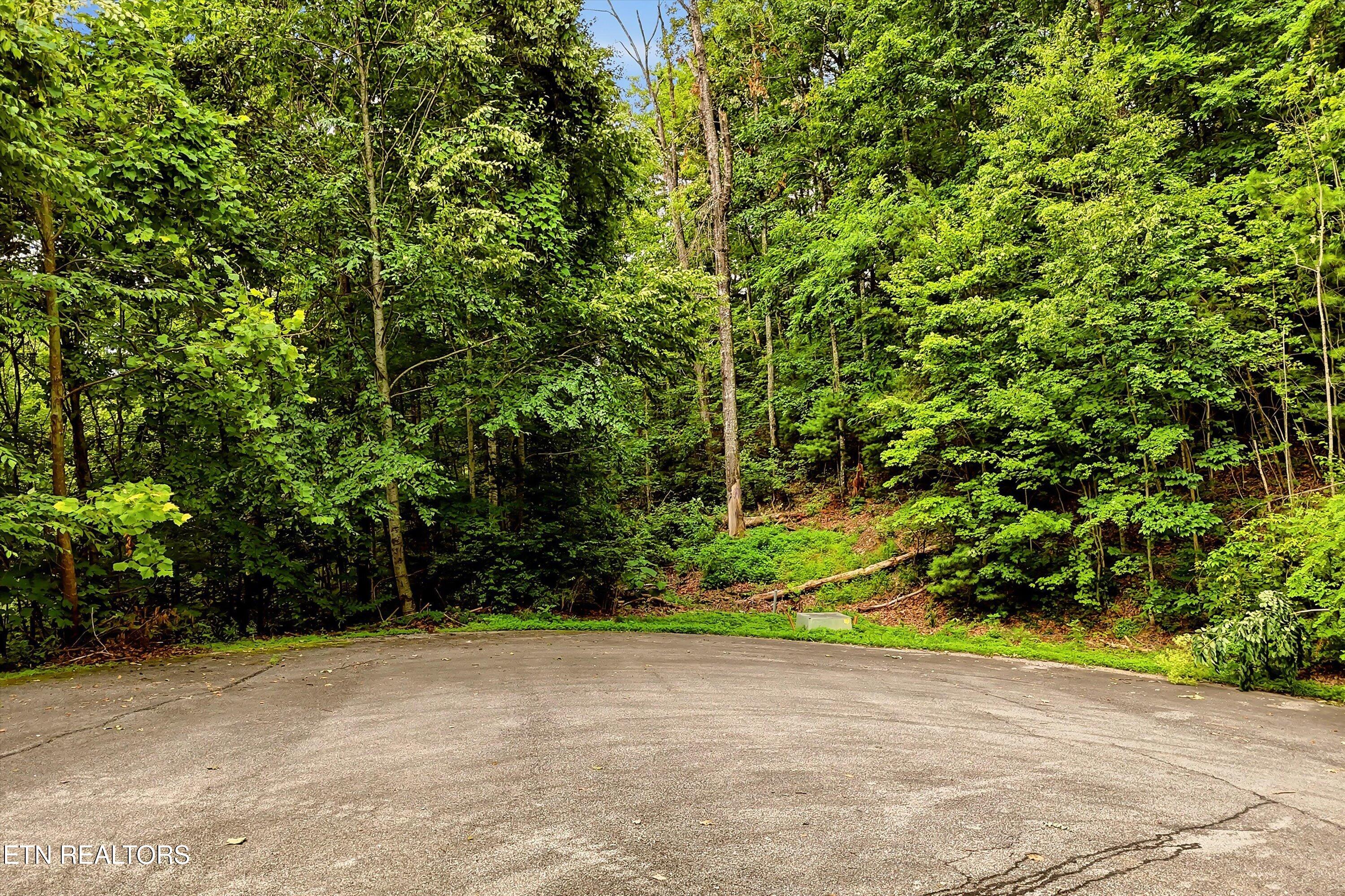 Lot 71e Redtail Road Sevierville TN 37862
