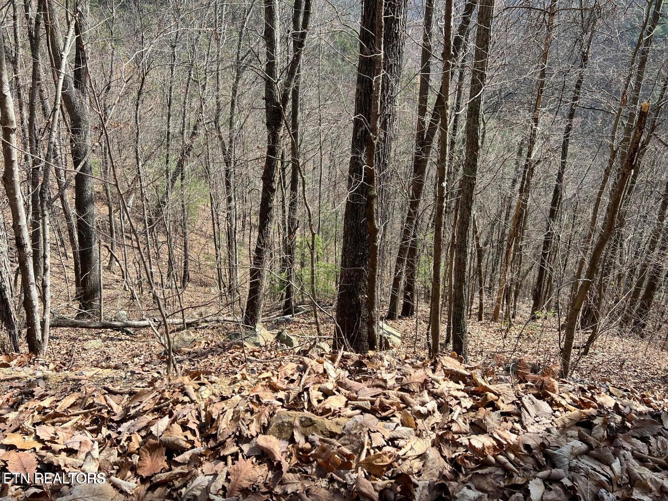 Aintree Drive Sevierville TN 37876