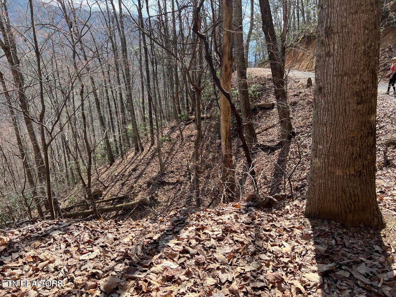 Aintree Drive Sevierville TN 37876