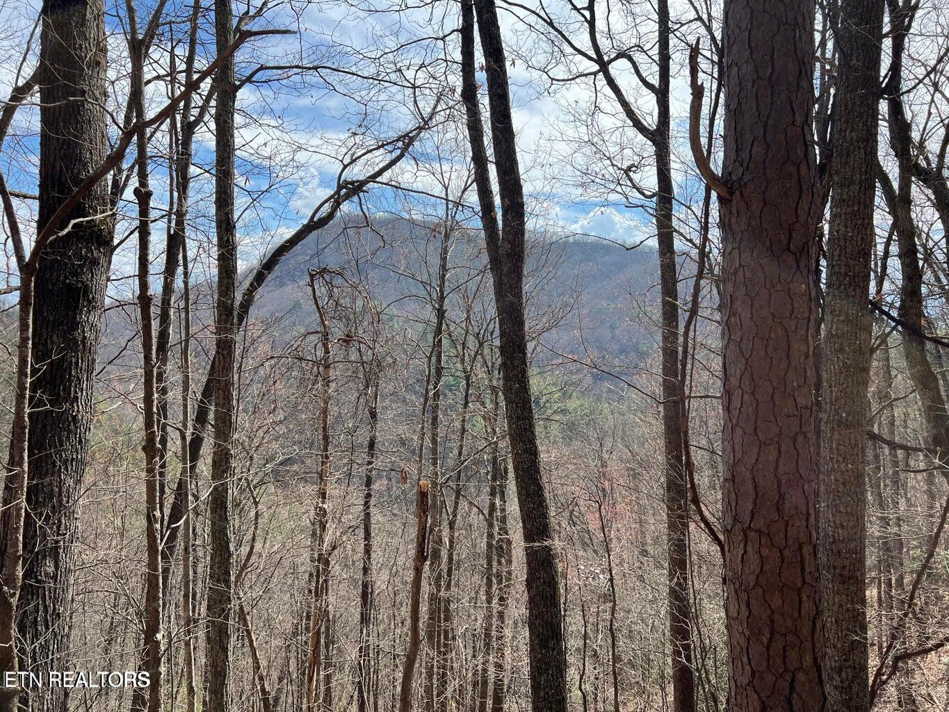 Aintree Drive Sevierville TN 37876