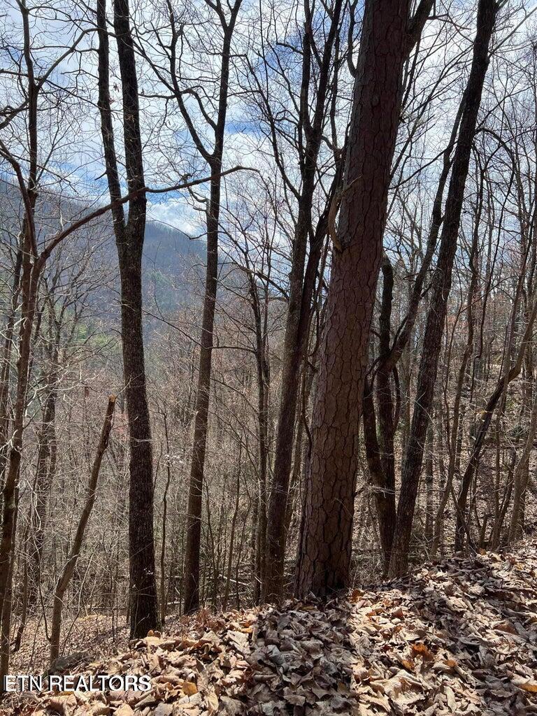 Aintree Drive Sevierville TN 37876