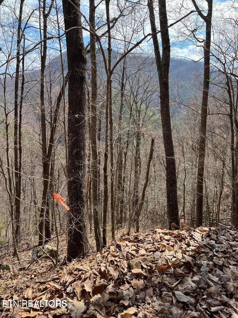 Aintree Drive Sevierville TN 37876