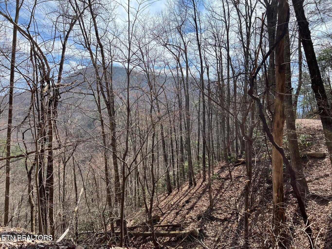 Aintree Drive Sevierville TN 37876