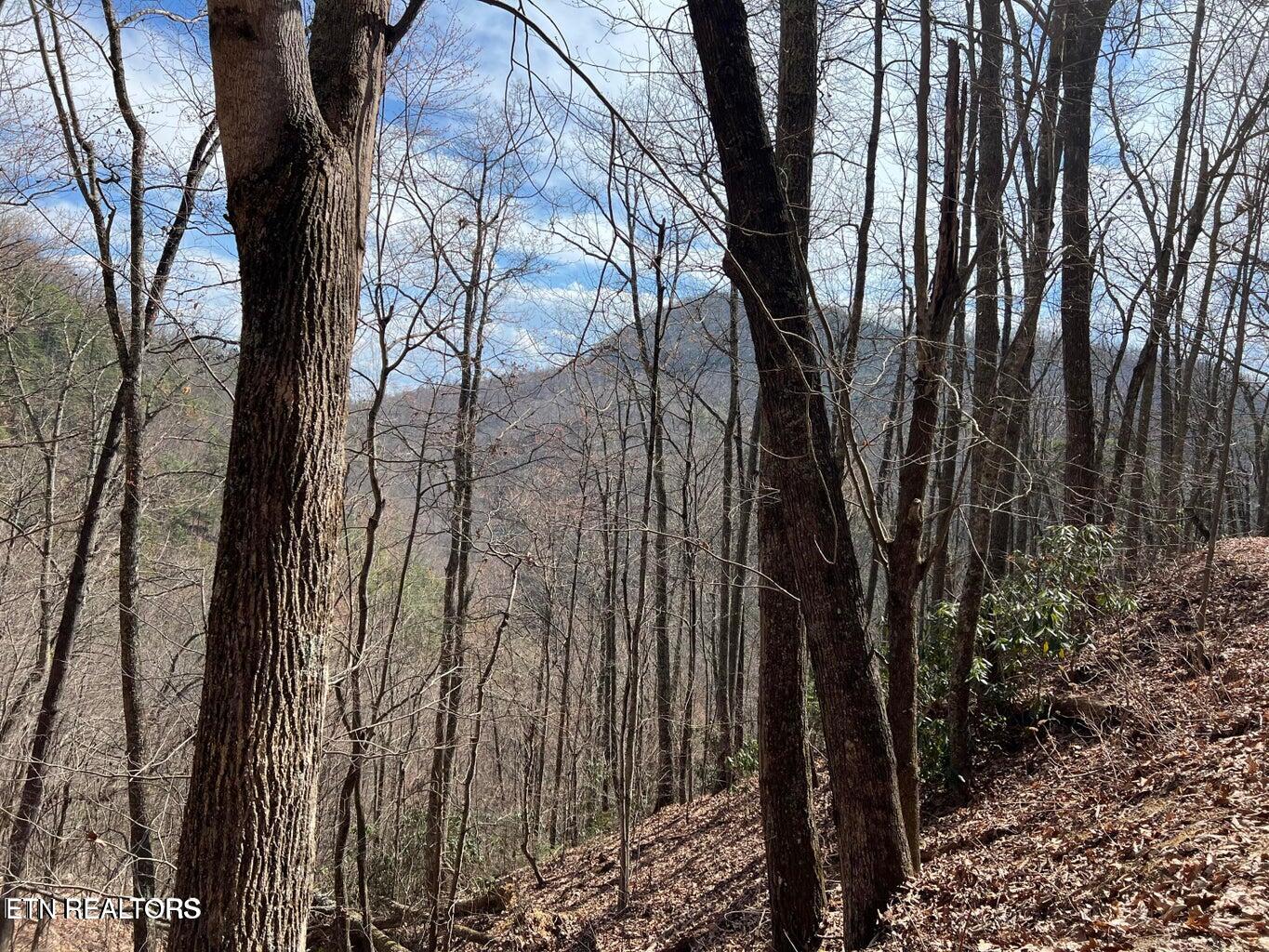 Aintree Drive Sevierville TN 37876